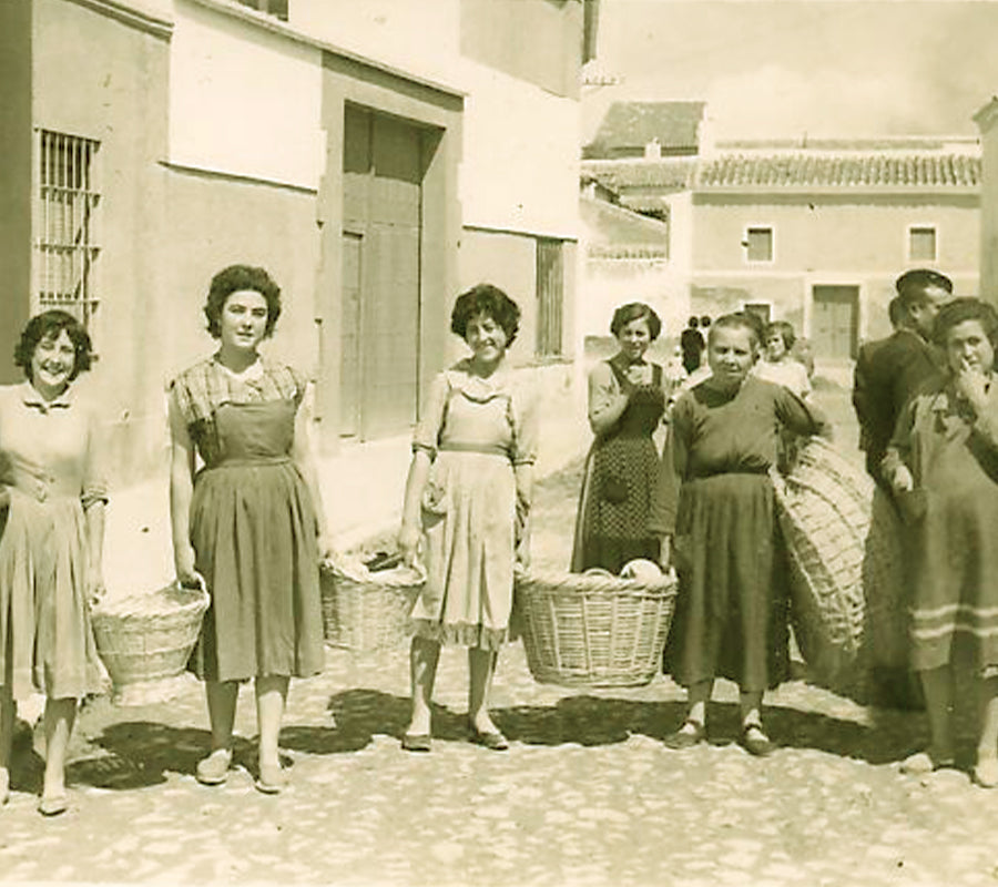 Pistazienanbau bei La Lola 1947 in Villacañas, Toledo