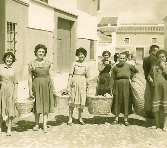 Pistazienanbau bei La Lola 1947 in Villacañas, Toledo