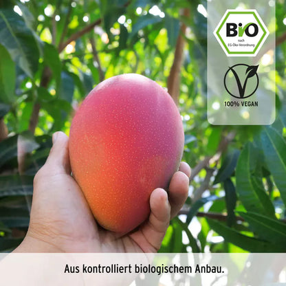 Mango Kent Supreme | Bio-Mango-Streifen sonnengereift | Vollmundig fruchtig & rohkostgerecht | Vitaminreich & natürlich süß | 500 g