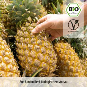 Getrocknete Bio Ananas-Stücke | First-Class aus Tansania | Fruchtig-sonnensüß & vitaminreich | Rohkostgerecht getrocknet | 400 g
