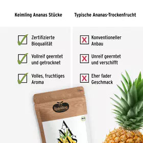 Getrocknete Bio Ananas-Stücke | First-Class aus Tansania | Fruchtig-sonnensüß & vitaminreich | Rohkostgerecht getrocknet | 400 g