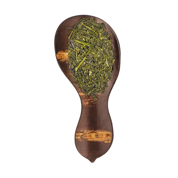 Kabuse Soshun Frühling | Bio-Grüntee aus Schattenanbau | Süß-harmonisch & tiefgrün | Bis 4 Aufgüsse & Theaninreich