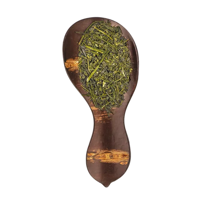 Kabuse Soshun Frühling | Bio-Grüntee aus Schattenanbau | Süß-harmonisch & tiefgrün | Bis 4 Aufgüsse & Theaninreich