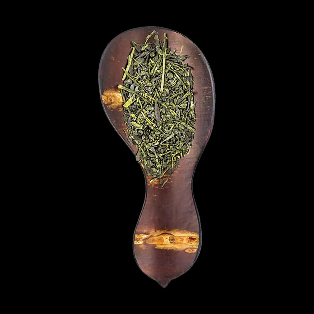 Shincha Classic lose Teeblätter