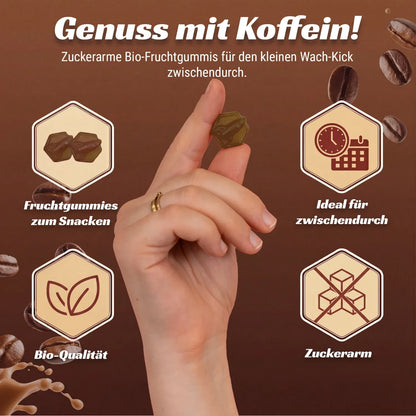 3 L Award-winning organic extra virgin olive oil | New harvest 12/2025 | Cold-pressed | High polyphenol content | Award-winning cooperative from Catalonia