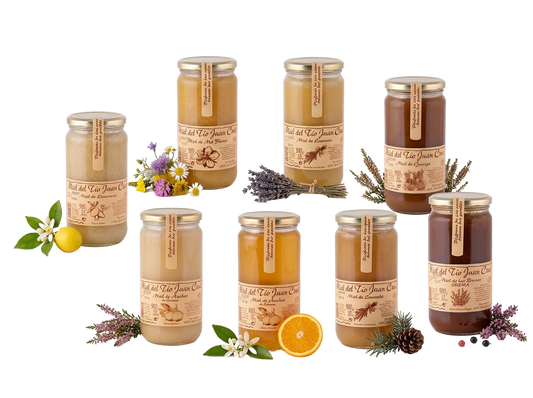 Spanische Honigvielfalt | 7 Sorten, 6,37 kg | von Bergheide bis Orangenblüte