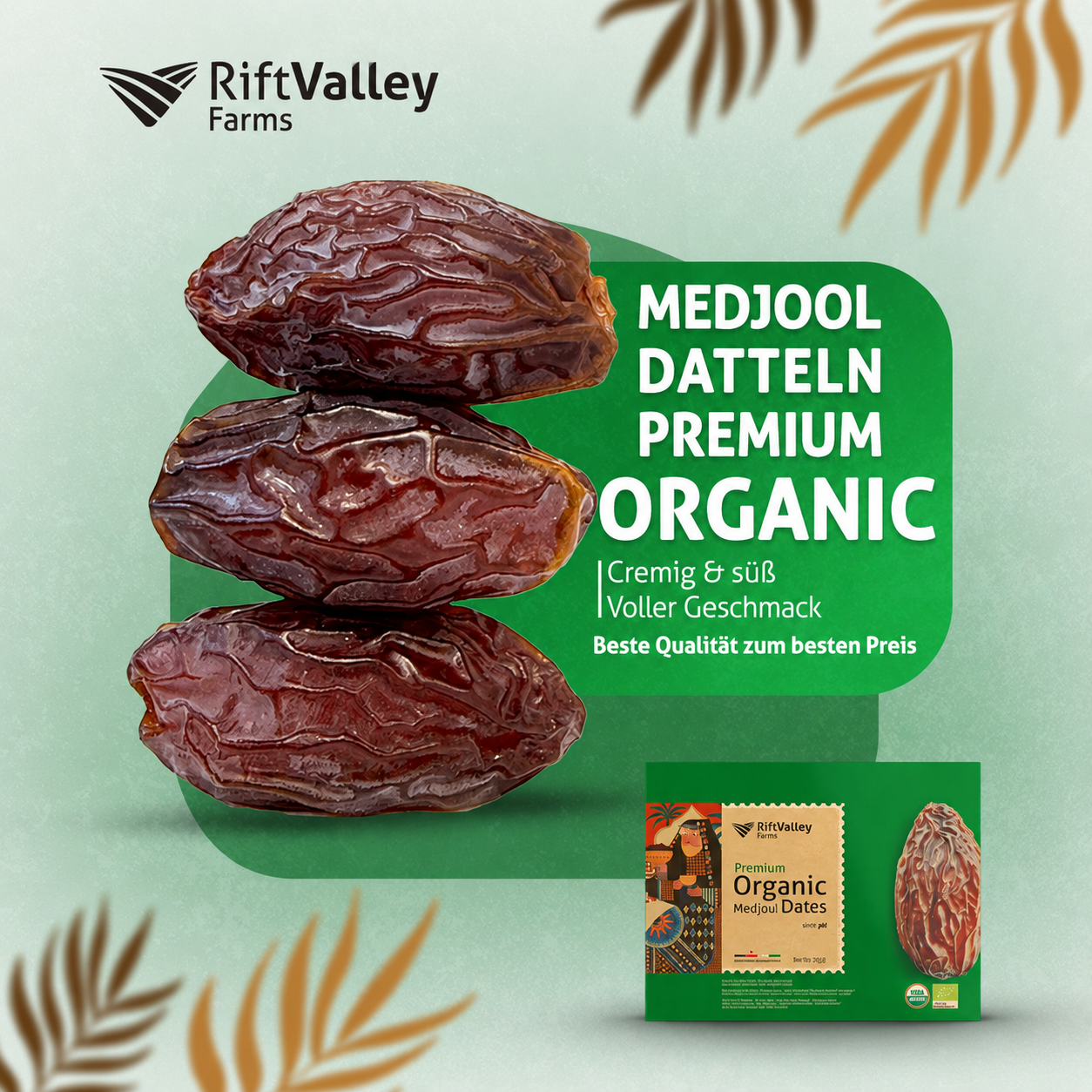 Frische Bio-Medjool-Datteln aus Jordanien, naturbelassen