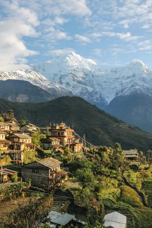 High Darling – Himalaya, Anbaugebiet Darjeeling